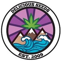 картинка IL Diavolo Auto от магазина Semki