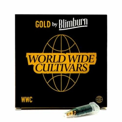 картинка Santa Muerte от магазина Semki