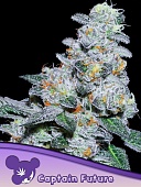 картинка Captain Future от магазина Semki